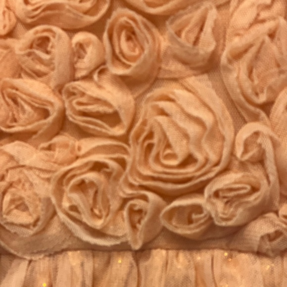 Cat & Jack Orange Rosette Tulle Party Dress 3T EUC - Picture 3 of 8